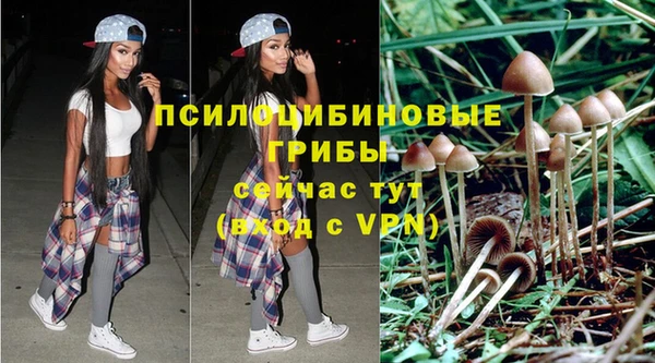 прущий лед Аркадак