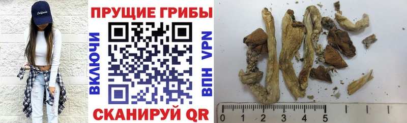Псилоцибиновые грибы ЛСД Талдом